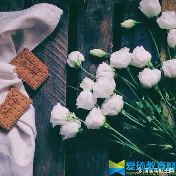 微信周末问候语句优美