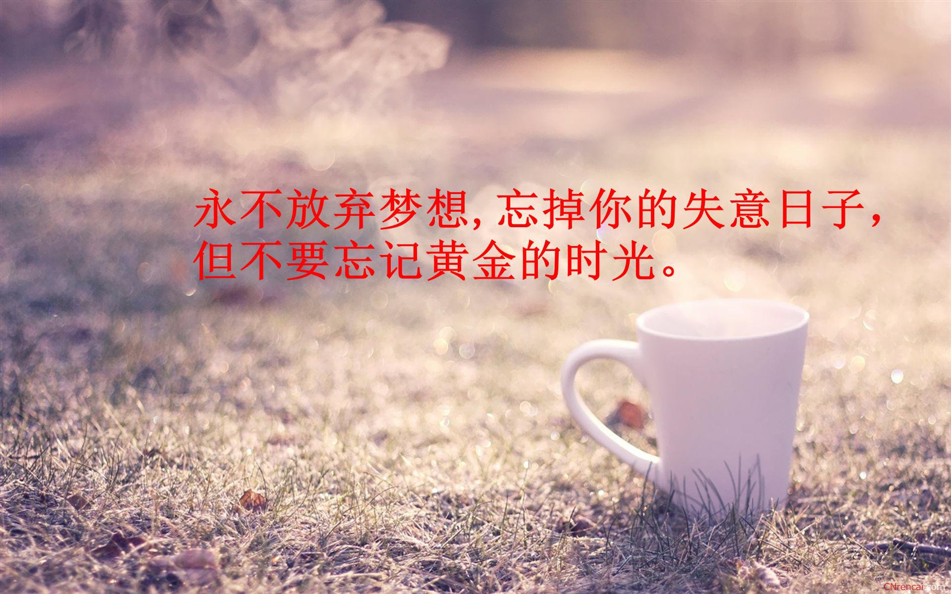 有关奋斗的名言警句