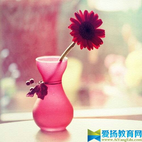 2017周末问候语给客户的