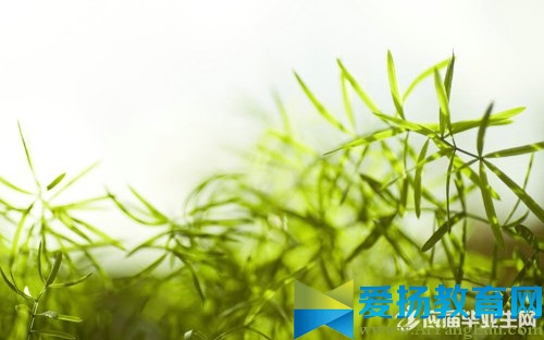 五一劳动节祝福语句大全
