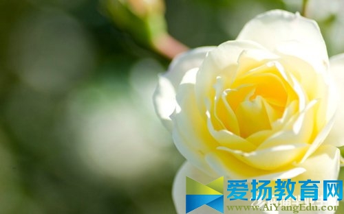 五一劳动节祝福卡片