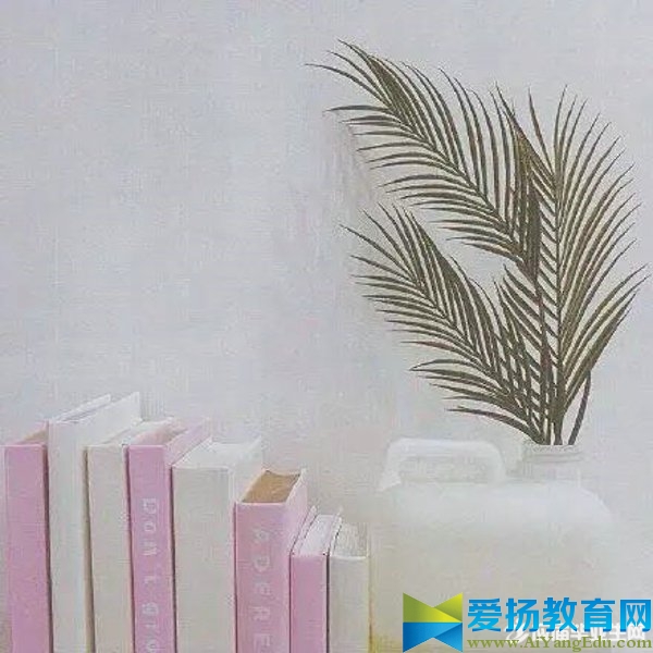 微信周末问候语句优美