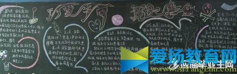关于小学珍爱生命黑板报