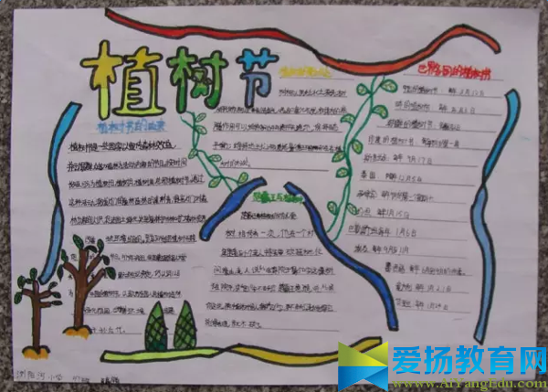 植树节手抄报内容图片