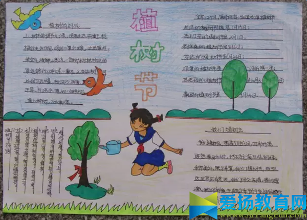 幼儿园大班植树节手抄报图片